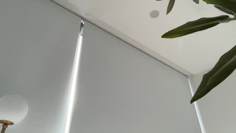 Olivia Brookes online show from November 27, 2025, 8:44 pm