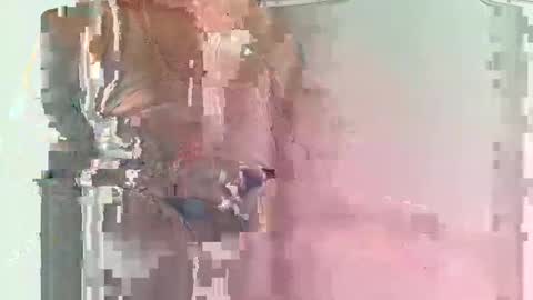 olover online show from March 1, 2025, 11:39 am