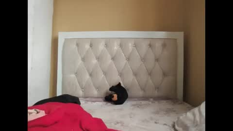 olwami4 online show from February 22, 2026, 6:57 am