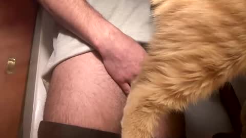 Snapshot of onedayonedollar chatting on February 25, 2025, 12:34 pm onedayonedollar online show from February 25, 2025, 12:34 pm