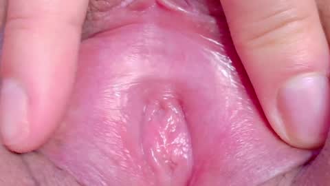 Snapshot of orchidekitty chatting on May 3, 2026, 10:05 pm orchidekitty online show from May 3, 2026, 10:05 pm