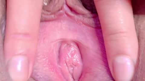 Snapshot of orchidekitty chatting on May 16, 2026, 11:14 pm orchidekitty online show from May 16, 2026, 11:14 pm