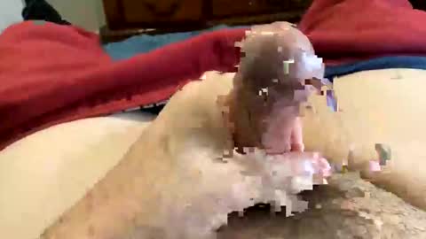 Super Soaker Oreo World online show from December 30, 2024, 7:21 pm