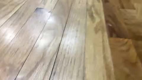 Super Soaker Oreo World online show from November 11, 2025, 5:02 pm