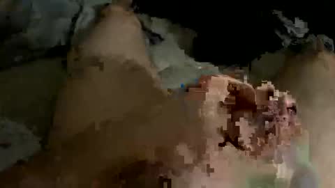 orgasaman2169 online show from February 19, 2025, 1:51 am