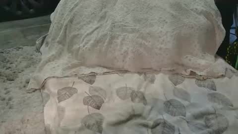 originalcali95 online show from March 15, 2026, 12:38 am