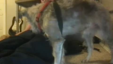 rossignol online show from January 22, 2025, 4:44 am