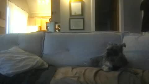 rossignol online show from February 27, 2025, 1:16 am