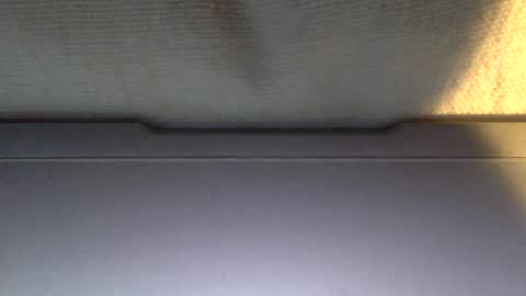 Snapshot of ottodick chatting on January 21, 2025, 4:05 pm Otto online show from January 21, 2025, 4:05 pm