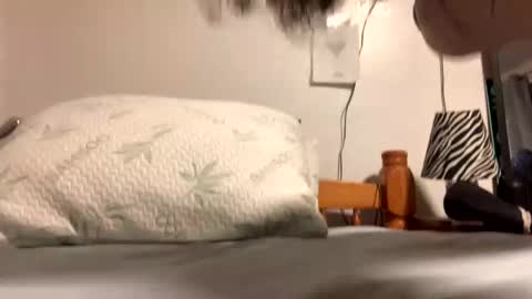 ozzy727 online show from February 23, 2026, 2:53 am