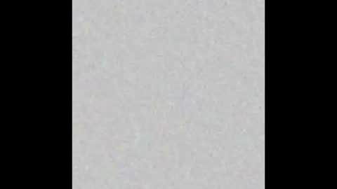 Snapshot of p0rsche911 chatting on December 12, 2024, 4:53 pm Alice online show from December 12, 2024, 4:53 pm