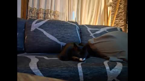 p326032 online show from November 3, 2025, 8:54 pm