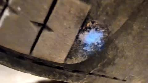 Pablo Meness online show from December 5, 2025, 8:49 pm