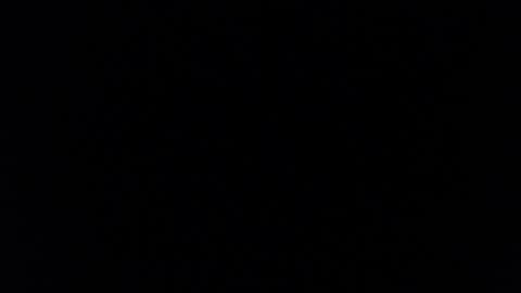 paiperhalliwey online show from February 7, 2025, 8:55 am