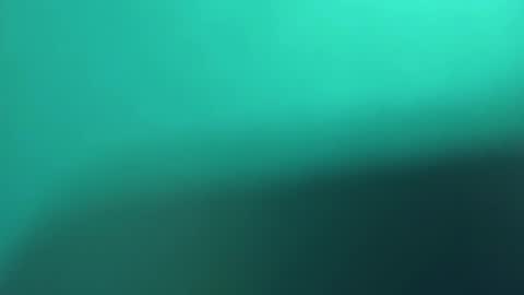   PALA online show from March 8, 2025, 11:18 pm