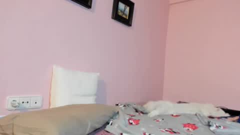 Merce   online show from January 17, 2025, 8:24 am