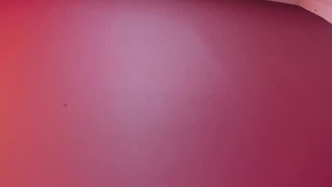  P A M  online show from February 17, 2026, 4:09 am