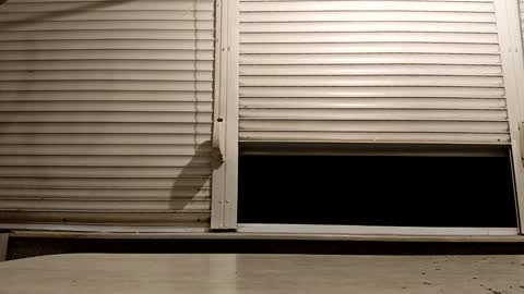 angel hris online show from November 24, 2025, 6:18 pm