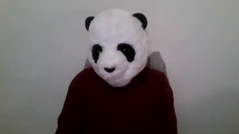 Panda online show from January 23, 2025, 12:52 pm