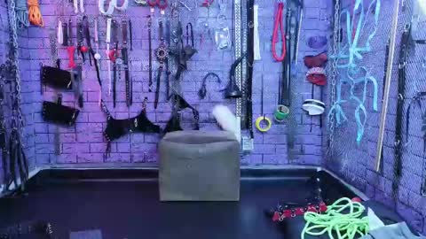 PandoraNez online show from February 14, 2025, 11:10 am