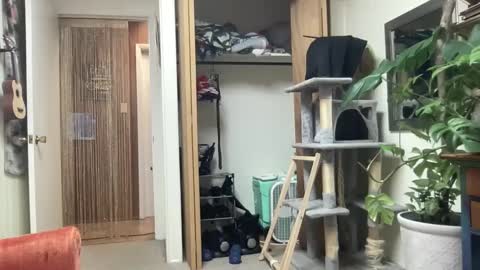 Pantiesofthefae online show from October 13, 2025, 9:53 am