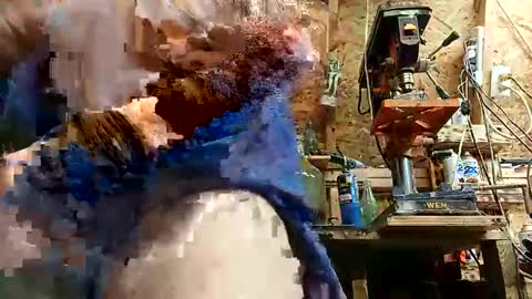 papajb70 online show from September 10, 2025, 2:22 am