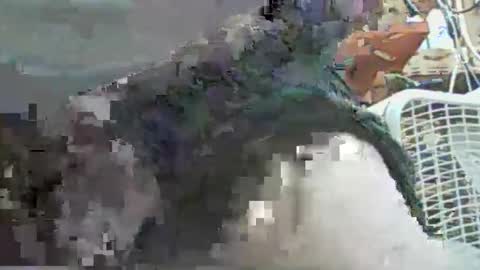 papajb70 online show from September 29, 2025, 2:27 am