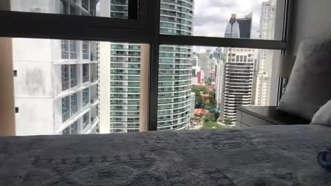 Paradise Bird01 online show from March 15, 2026, 5:30 pm