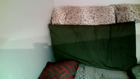 Snapshot of parlaytellio chatting on January 5, 2025, 10:08 pm Parlay Tellio online show from January 5, 2025, 10:08 pm