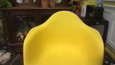 passifhot3 online show from December 19, 2025, 12:01 pm