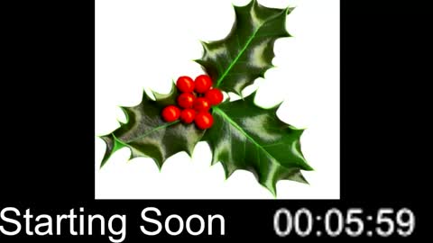 Snapshot of passion4fashion chatting on December 25, 2024, 9:00 pm Passion4Fashion online show from December 25, 2024, 9:00 pm