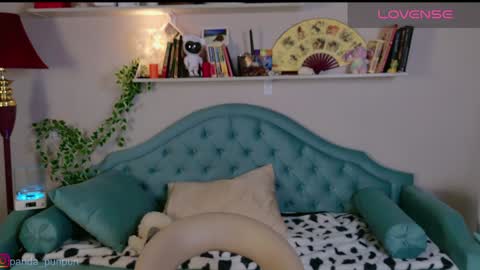  off - Tuesday and wednesdayfriday online show from December 10, 2024, 11:11 am