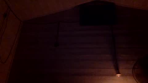 Pati24 online show from January 5, 2025, 1:03 am