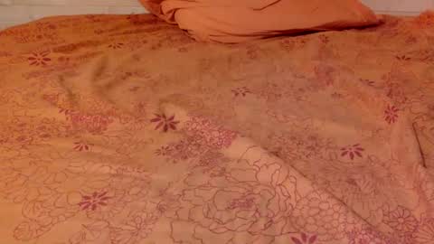 Pati24 online show from January 15, 2025, 6:51 pm