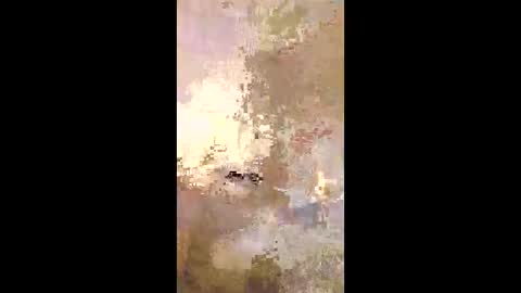 patrickalan2 online show from December 14, 2025, 2:50 am