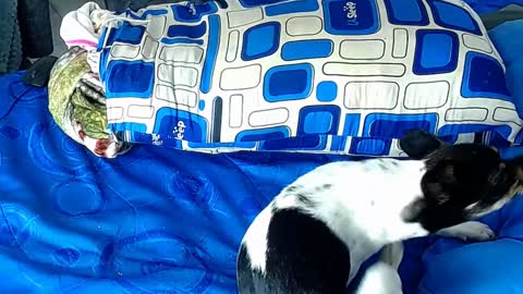 Snapshot of paula_willss chatting on January 6, 2025, 12:35 pm paula_willss online show from January 6, 2025, 12:35 pm