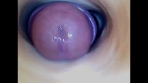 Paula 18 Aninhos online show from January 7, 2026, 4:31 pm