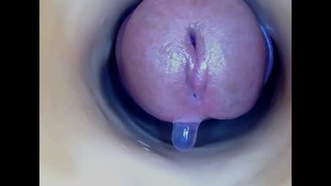 Paula 18 Aninhos online show from March 2, 2026, 5:08 am