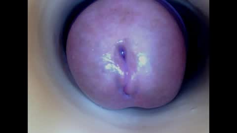 Paula 18 Aninhos online show from April 5, 2026, 2:25 pm