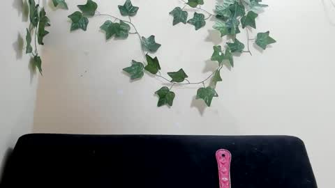 Snapshot of paulinches_love chatting on February 9, 2026, 8:24 pm Paulinches online show from February 9, 2026, 8:24 pm