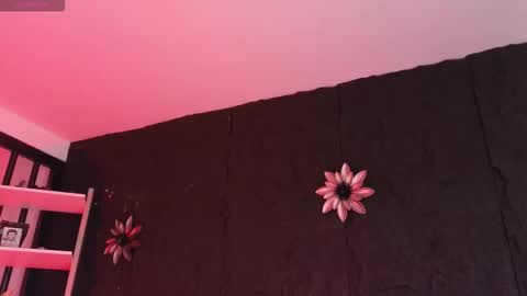 Paulo online show from February 5, 2026, 9:08 pm