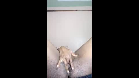 Snapshot of paulveshmah chatting on March 23, 2026, 12:42 pm paulveshmah online show from March 23, 2026, 12:42 pm