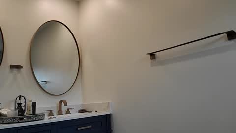 Pavone splash online show from December 1, 2025, 5:40 pm