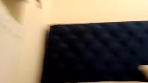 Paw online show from December 21, 2024, 5:36 am