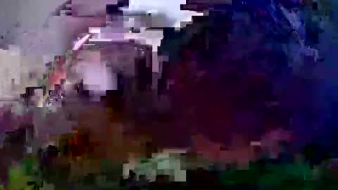 Coco channel  online show from December 21, 2024, 10:06 am