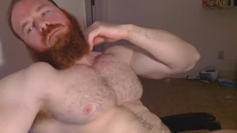 Pec inspector online show from January 30, 2025, 3:55 am