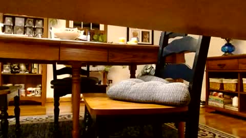 Snapshot of peecocktail chatting on October 13, 2025, 5:07 am peecocktail online show from October 13, 2025, 5:07 am