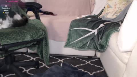 NEXT CHILL SESH  1130 930pm -ish PEEK online show from March 6, 2025, 2:19 am