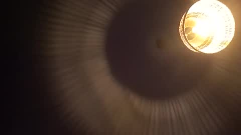 penesvoladores92 online show from March 1, 2026, 9:06 pm