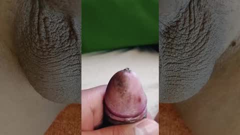 Penils online show from March 3, 2026, 7:09 pm